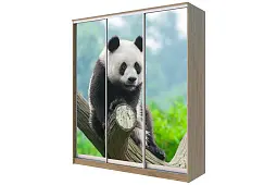 Шкаф-купе 3-х дверный с фотопечатью Панда